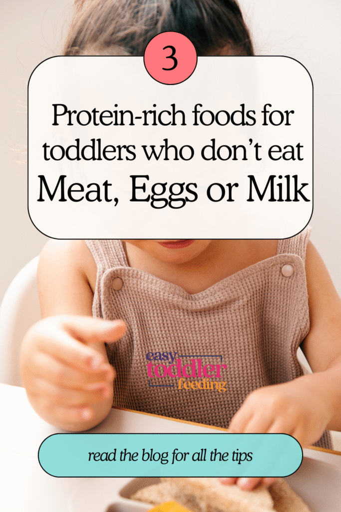 protein rich foods for toddlers who don't eat meat, eggs or milk